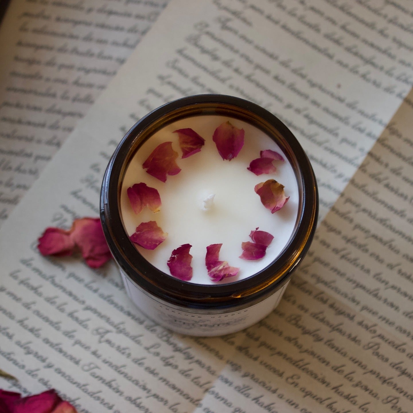Peonía - Abelone Candle