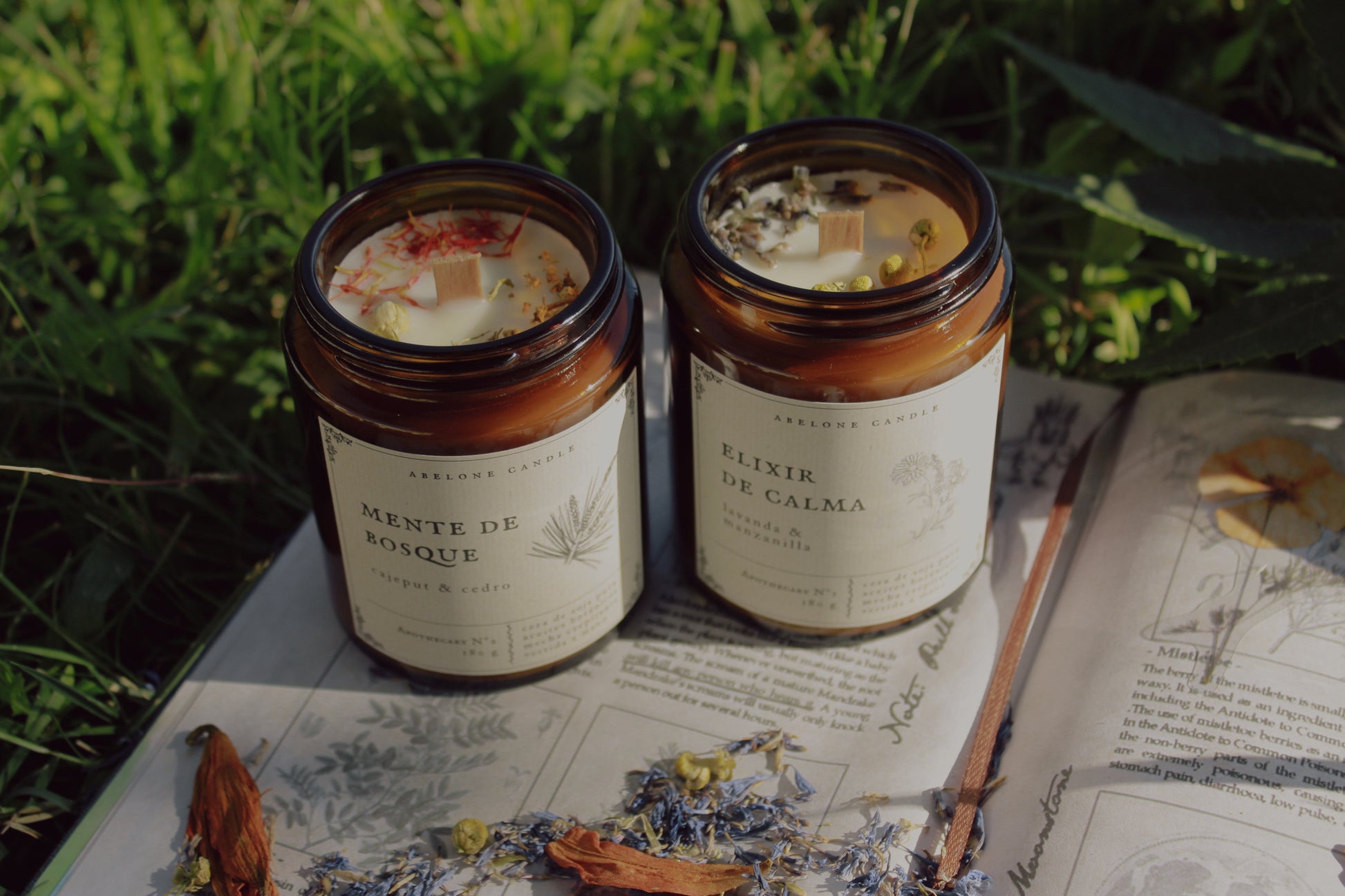 Mente de Bosque - Abelone Candle