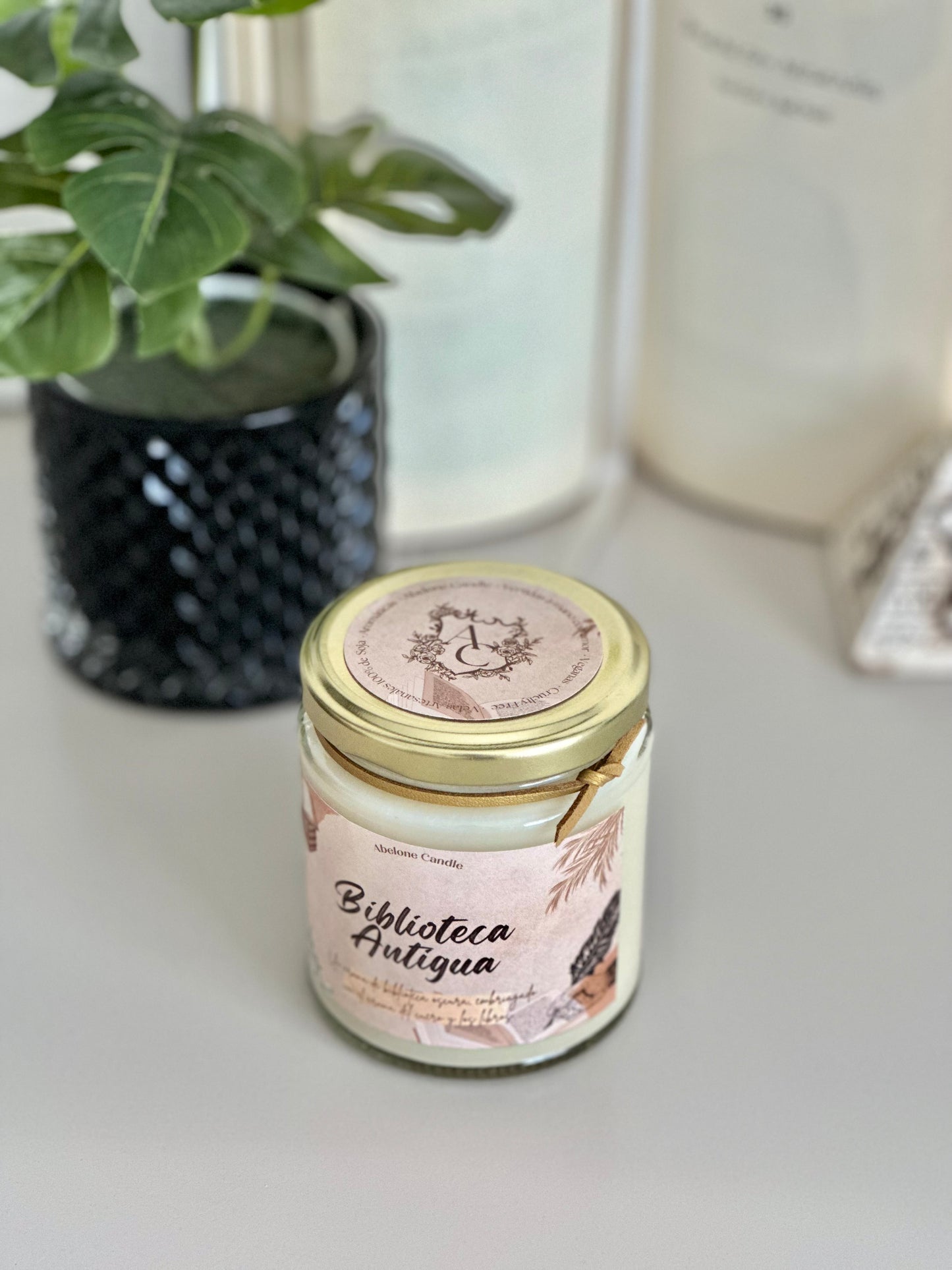 Biblioteca Antigua - Abelone Candle