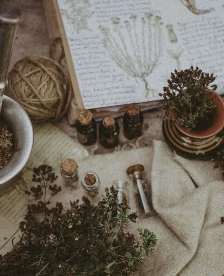 Apothecary Collection