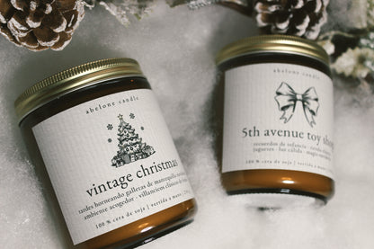Escenas de Navidad • Aura Moments - Abelone Candle