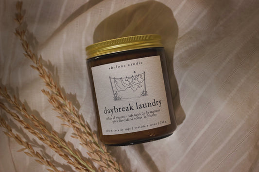 Daybreak Laundry  ❈ Aura Moments ❈