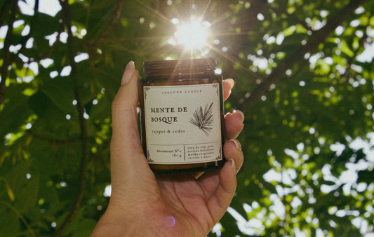 Mente de Bosque - Abelone Candle