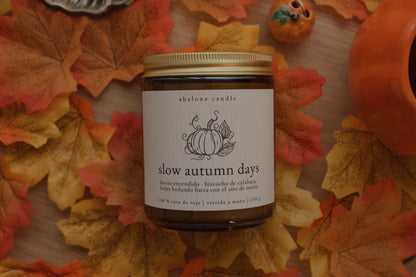 Slow Autumn Days ❈ Aura Moments - Abelone Candle